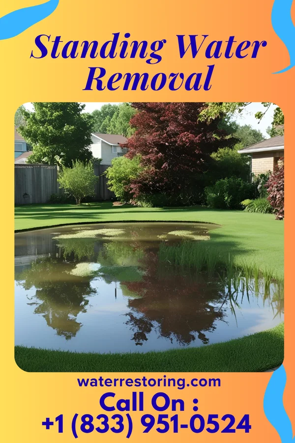 Standing Water Removal in Orange, OH